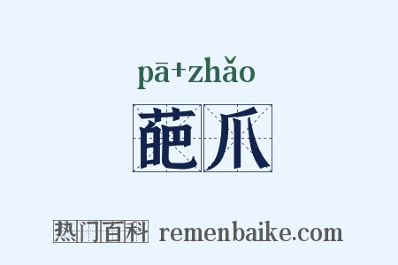 葩爪是什么意思的图片